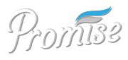 Promise